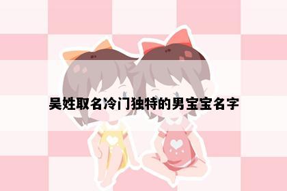 吴姓取名冷门独特的男宝宝名字